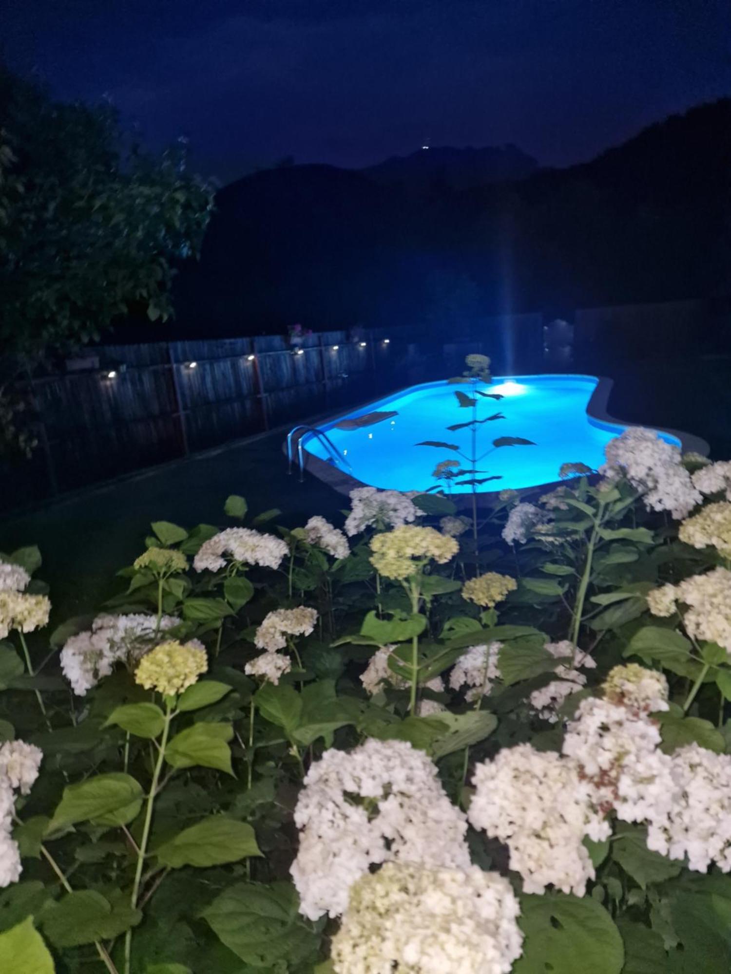 Casa De Vacanta Caciulata Pokój zdjęcie